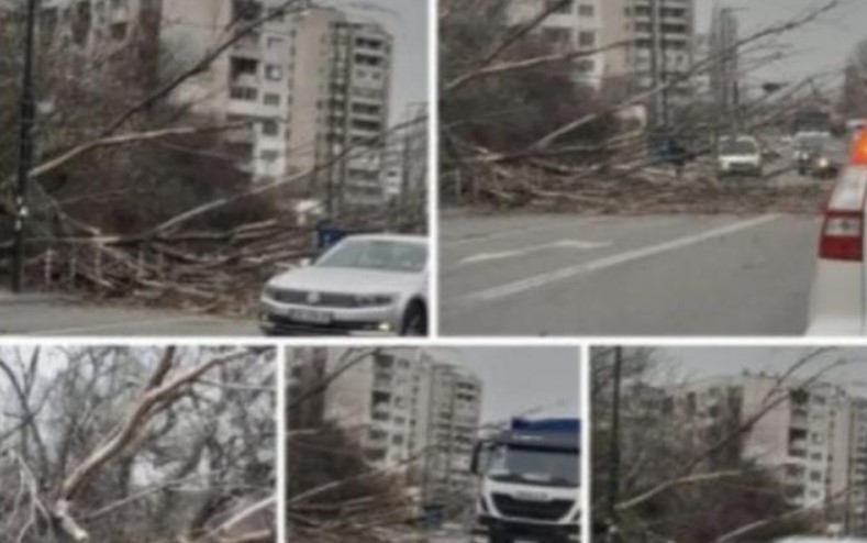 Червена тревога в София! Прозорци се пръскат, дървета са влачат по улицата с изтръгнат корен!