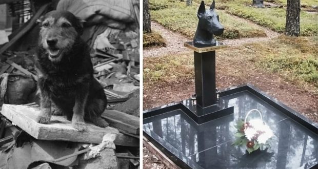Четири дни куче топли дете и го храни с млякото си по време на ужасно земетресение