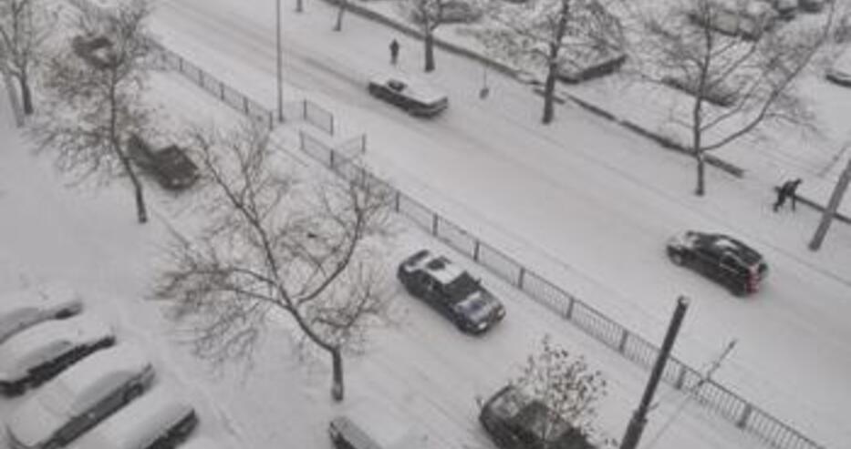 Дърво падна и уби 14-годишно момче в колата след ски, родителите му са в болница с паник атака