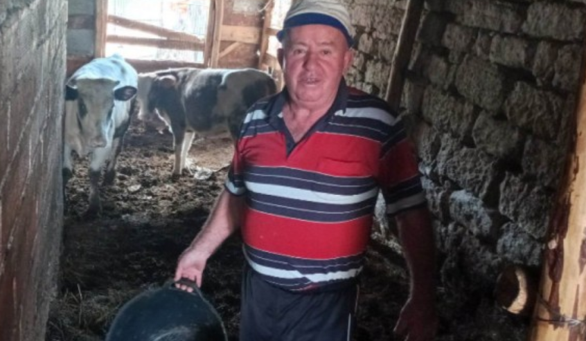 Животновъд: За 1 кг сирене са нужни 5 л мляко, реалната му цена, с печалбата заедно, е десетина лева