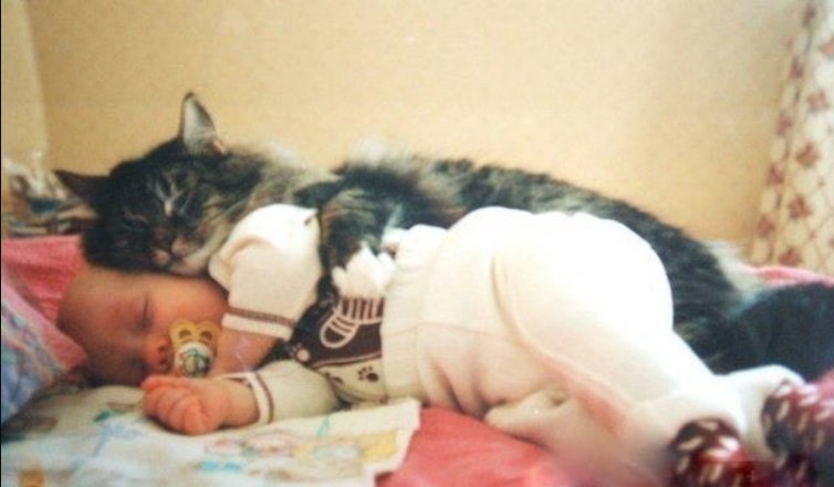Улична котка спасява живота на изоставено бебе в Русия, топлела го докато дойде помощ.