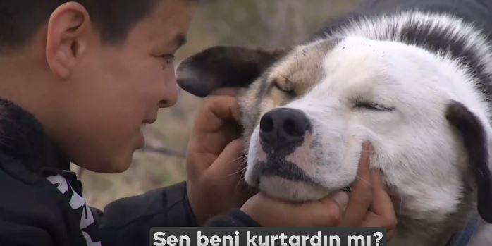 Куче спаси 12-годишния си стопанин от руините в Турция (Видео)