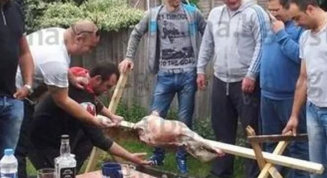 Наш гурбетчия: Давам 1600 паунда за наем в Лондон, но и спестявам по 1000 на месец, а в България…