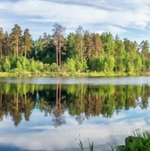 Хороскоп за ДНЕС 24 юни-РИБИ Печалби, ВОДОЛЕЙ Успех