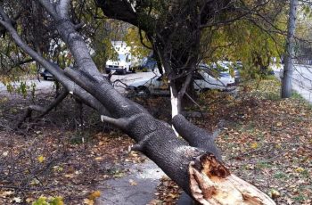 Извънредно! Много голяма буря помете този български град!