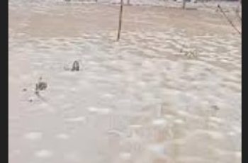 Извънредно! Река излезе от коритото си. Много къщи са под вода