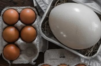 Tрик, с който ще oбелите перфектните великденски яйца за секунди