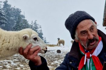 Отчаяният бай Рибан: Гръм да го удари Христанов!