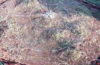 Удар на ИАРА: Спипаха наглец с мрежи в язовир „Тича“