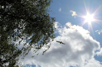 Внимание! Бури, градушки и дъждове ни връхлитат, но ето кога идва дългоочакваното слънце